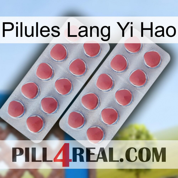 Lang Yi Hao Pills 19